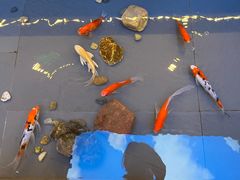 -徽韵人家·传承正宗徽菜(牡丹园店)