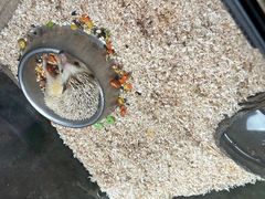 -昆明大悦城未来动物城(螺蛳湾中心店)