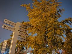 -门框胡同百年卤煮(鸟巢店)