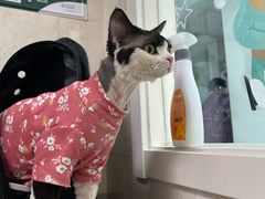 -酷宠动物医院(天通西苑店)