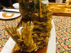 糖醋鲤鱼-城南往事·味道济南菜(金龙大厦店)