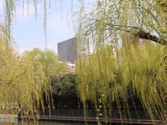 -大宁灵石公园西门票处