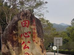 -田心森林公园