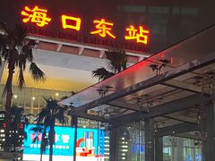 -海口东站