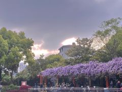 -双拥公园