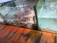 -蓝湾碧波·老字号·疍家非遗海上餐厅