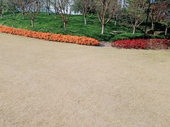-径山花海