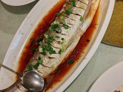 -金美华轩(东方路齐鲁店)