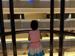 -新加坡泛太平洋酒店