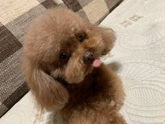 -乐宠宠物店(世纪金源店)