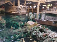 -长鹿旅游休博园