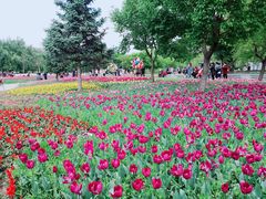 -长春公园(普阳街道)