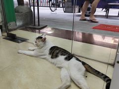 -玉椰林甜品店(创始店)