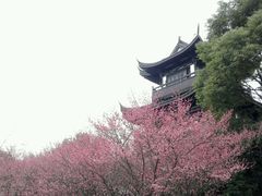 -范蠡湖公园