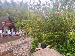 -神光山国家森林公园