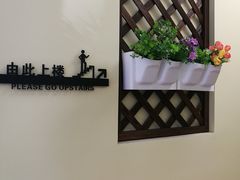 -派联宠物医院·24h·CT·异宠