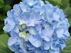 -常州古运河南大街文化旅游区-人民公园