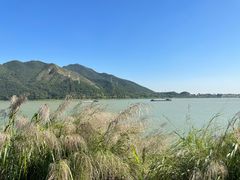 -东胜客河鲜店·西江河鲜·老字號渔家菜