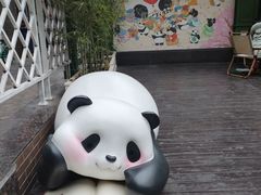 -轩客会(熊猫书店)
