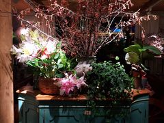 -春暖花开(西溪店)