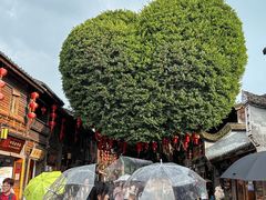 -广达眼镜炖罐(广达店)