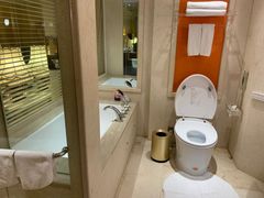 -芜湖白金汉爵大酒店