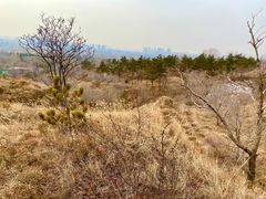 -红山国家森林公园