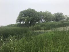 -太湖湖滨国家湿地公园-停车场