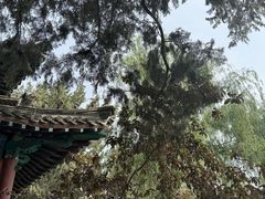 -莲池书院博物馆