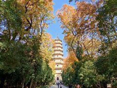 -灵谷景区