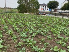 -乡乐园蟹庄·阳澄湖农家乐