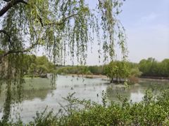 -东园小馆·早茶·淮扬小炒(宋夹城店)