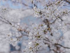 -龙美术馆(西岸馆)