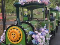 -昆山城市生态森林公园