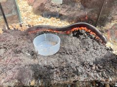 -北京植物园-展览温室