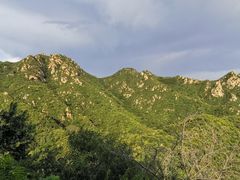 -大岭沟猕猴桃谷风景区