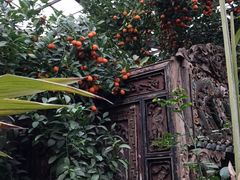 -呀路古热带植物园