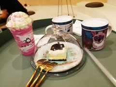 -飞行喵MR PILOT|猫舍·猫咖(静安大融城店)