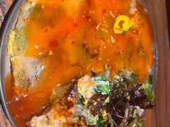 -食陆号·新式台湾创意菜(十全街首店)
