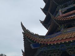 -铁山坪森林公园