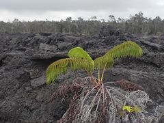 -夏威夷火山国家公园