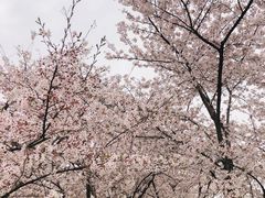 -龙美术馆西岸馆-停车场