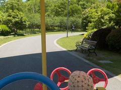 -昆山城市生态森林公园