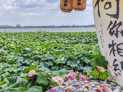 -七的湖·晚芳亭·阳澄湖农家菜·大闸蟹(莲花岛店)