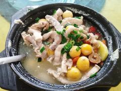 酒煮鸡生肠-区海鸡场饭店(石壁店)