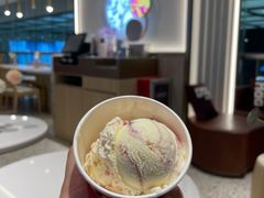 茉莉花覆盒子石榴-哈根达斯(天河城店)