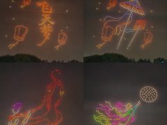 -武汉园博园(武汉自然博物馆)