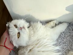 -拜鲁耶动物诊疗中心·宠家动物医院