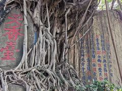 -乌山风景区
