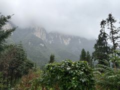 -鹿院坪生态旅游景区